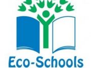 Eco Schools NI