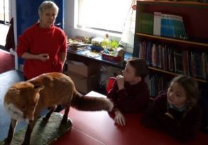 P5/6 Visit by Environmentalist Liz O'Connor