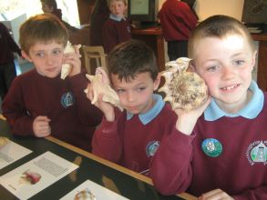 Primary 4/5 Trip to the Ulster Museum