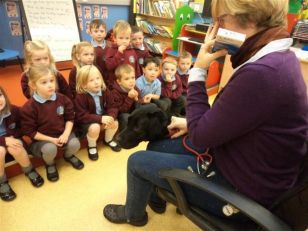 People Who Help Us in P1 - Our Local Vet
