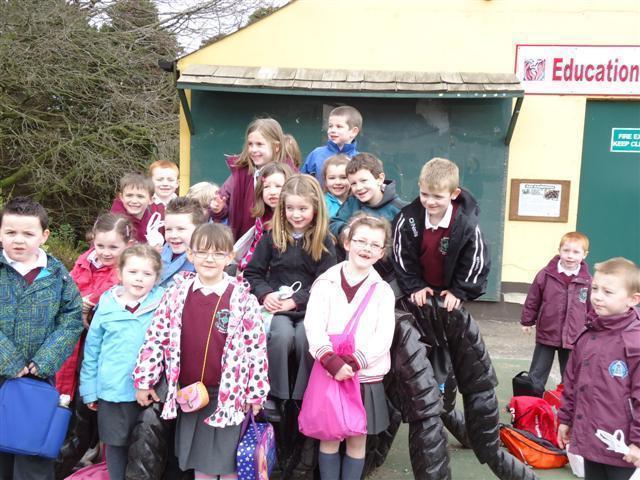 P2/3 Visit Belfast Zoo