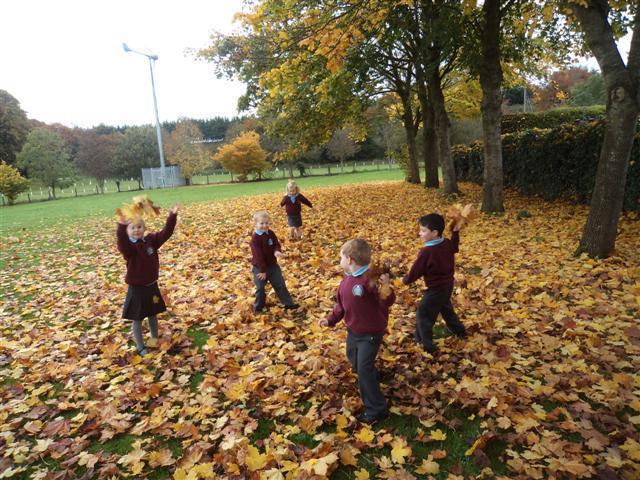 Autumn Walk
